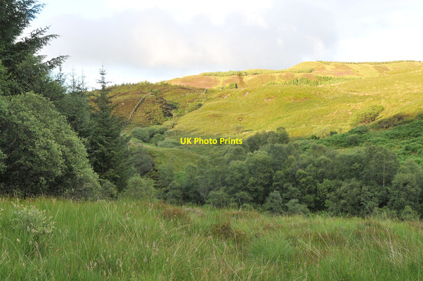 Photo 6"x4" Edge of the forest near Scammadale Eas Ruadh\/NM8921 c2010