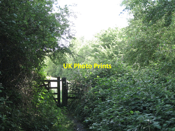 Photo 6"x4" Footpath by Bell Brook Snitterfield c2010