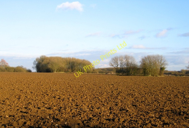 Photo 6"x4" Farmland, west of West Raynham, Norfolk South Raynham c2006