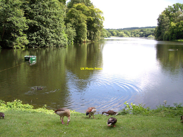 Photo 6"x4" The fish pond at Harewood House Weardley c2010