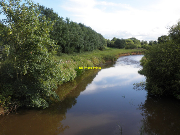 Photo 6"x4" River Culm, south of Cullompton Mutterton c2010