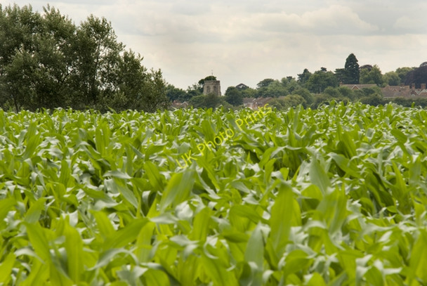 Photo 6"x4" Maids Moreton Church Buckingham c2009