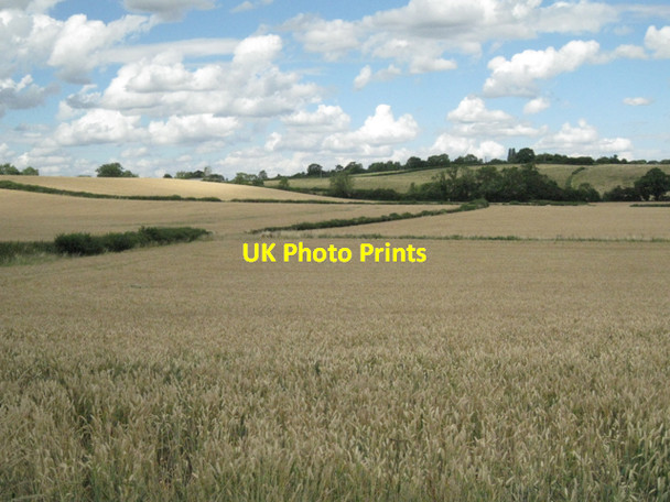 Photo 6"x4" Wheatfields below Wolverton Wolverton\/SP2062 c2010