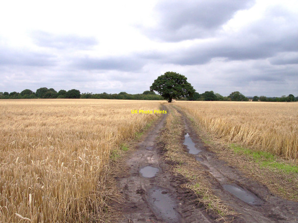 Photo 6"x4" The path to Brook Head Farm Gemini c2010