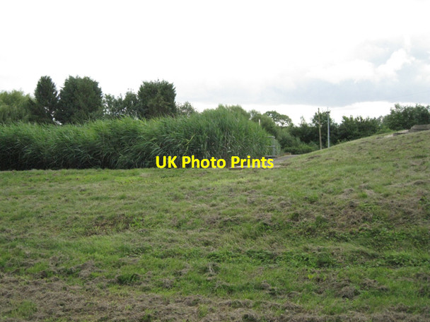 Photo 6"x4" Reedbed, Snitterfield sewage works Heath End\/SP2360 c2010