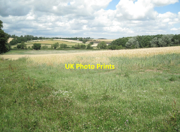 Photo 6"x4" Corner of Heath End Plantation across a wheatfield Heath End\/SP2360 c2010