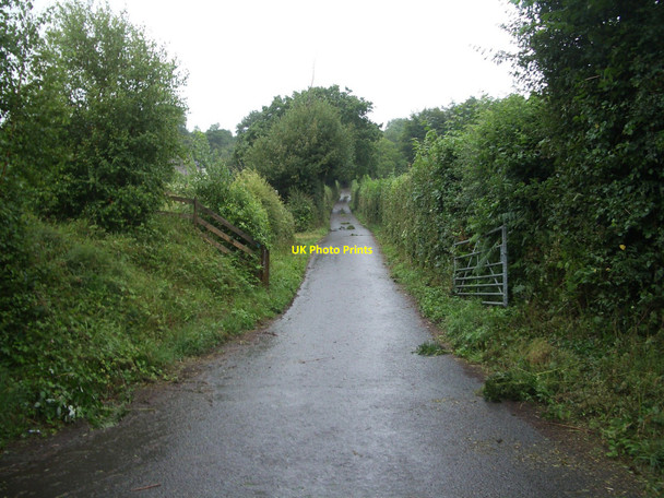 Photo 6"x4" Lane west of Bwlch Llansantffraed c2010