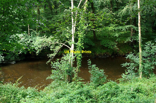 Photo 6"x4" The River Camel Bodmin c2010