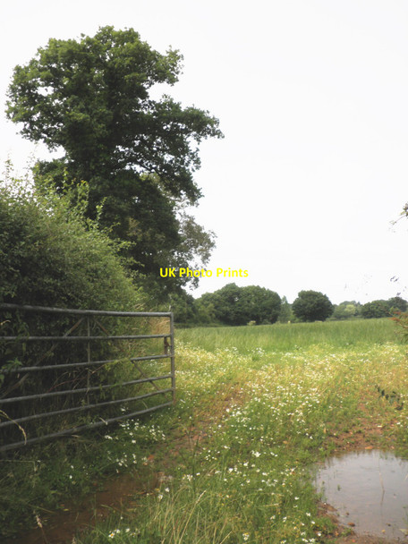 Photo 6"x4" Field entrance, on Mott's Lane Higher Weaver c2010