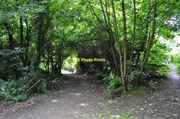Photo 6"x4" The footpath through Combesgate Valley passes the path to Quarry Hill Higher Warcombe c2010