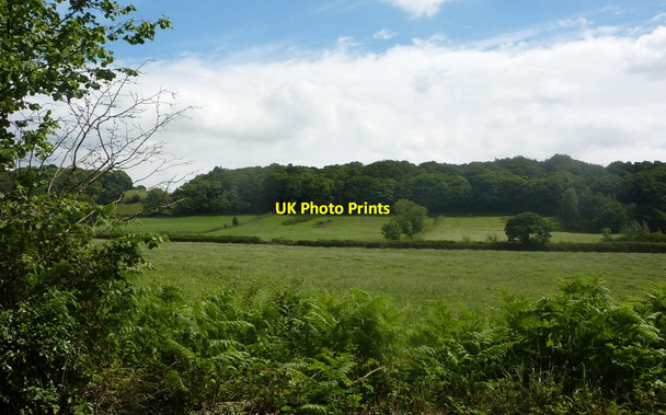 Photo 6"x4" Fields by Hard Meadow Lane Fallgate c2010