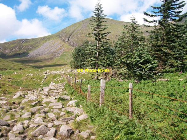 Photo 6"x4" The upper end of the Donard Forest panhandle Newcastle\/J3732 c2010