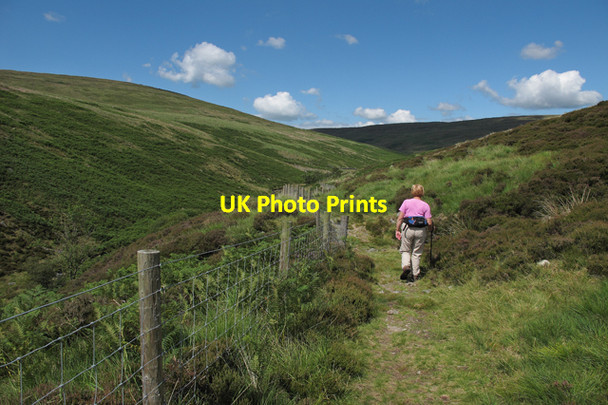Photo 6"x4" Footpath in Whitendale Whitendale River c2010