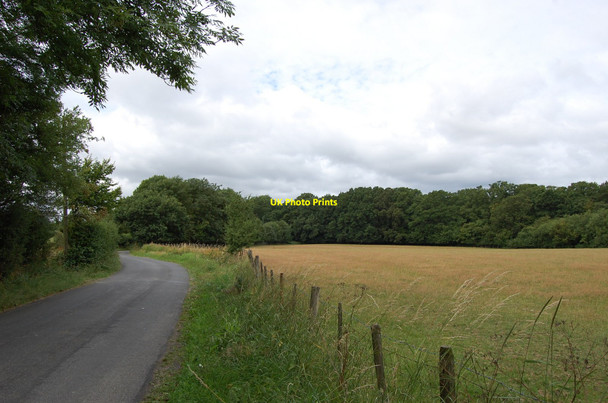 Photo 6"x4" Acton Lane and Rushgreen Wood The Stocks\/TQ9127 c2010