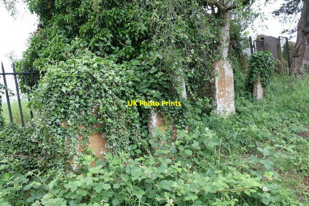 Photo 6"x4" All along the fence Boughton\/SP7565 c2010