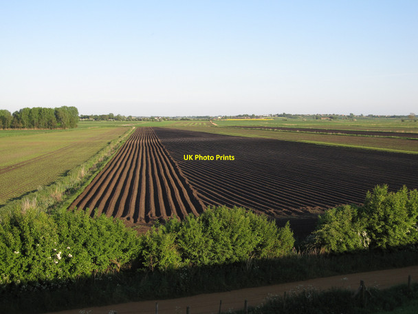 Photo 6"x4" Vegetable field Oxlode c2010