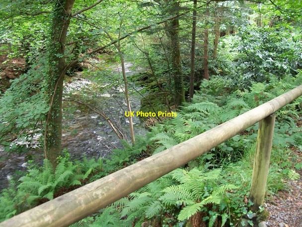 Photo 6"x4" Fast flowing River Shimna from the forest track Newcastle\/J3732 c2010