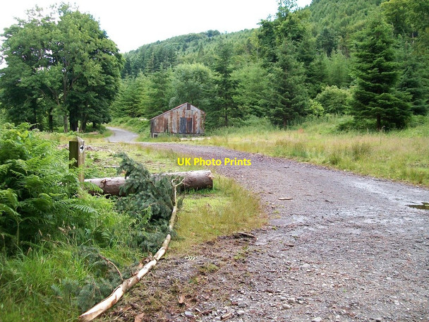 Photo 6"x4" Tin shed in the forest Newcastle\/J3732 c2010