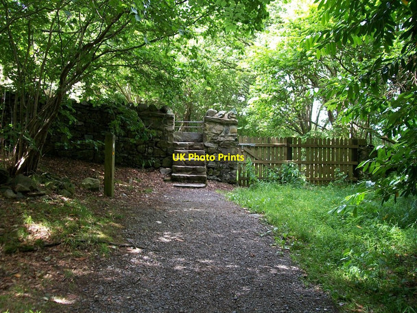 Photo 6"x4" The western boundary of the Tollymore Forest Park Kilcoo c2010