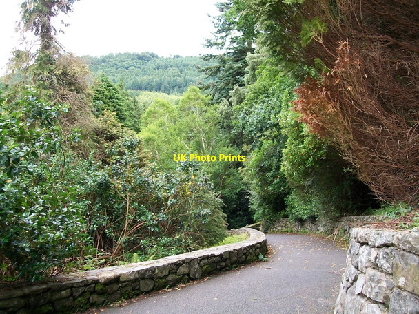 Photo 6"x4" Path leading from the Horn Bridge towards the Shimna River Newcastle\/J3732 c2010