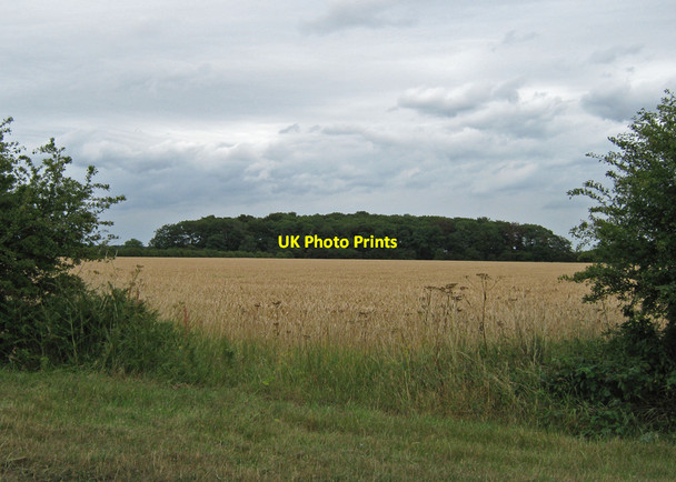 Photo 6"x4" Near High Wood Farm Melton Ross c2010