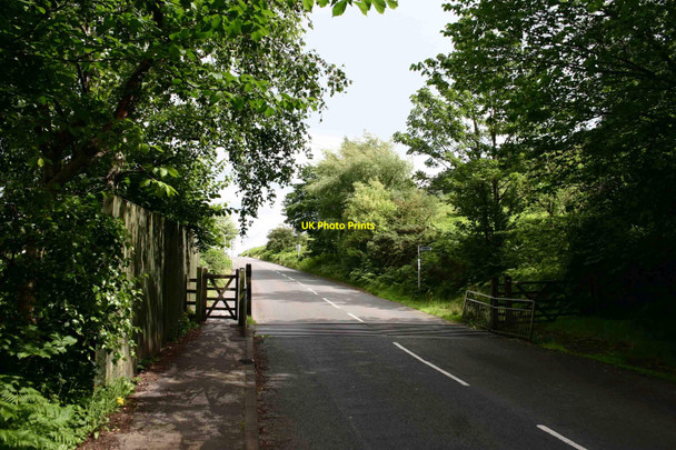 Photo 6"x4" Cattle Grid Ilkley c2010