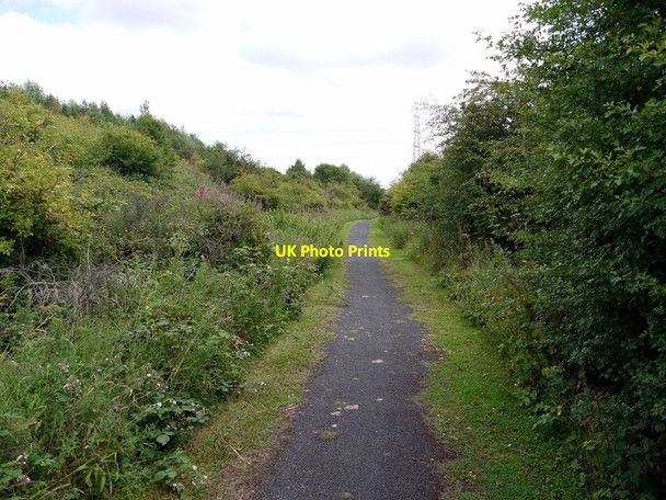 Photo 6"x4" Track, Percy Pit Local Nature Reserve Ryton\/NZ1564 c2010