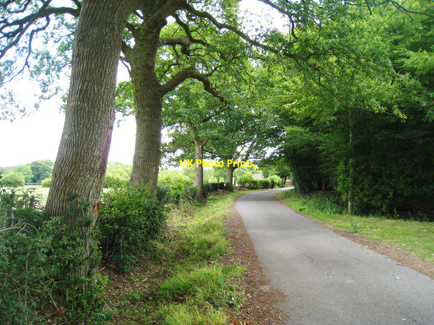 Photo 6"x4" Sheffield Mill Lane Sheffield Green\/TQ4125 c2010