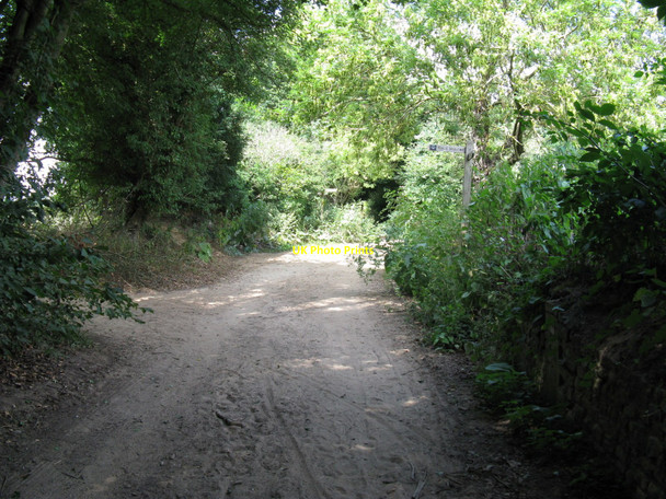 Photo 6"x4" Bridleways crossroads on Vann Hill Hambledon\/SU9638 c2010