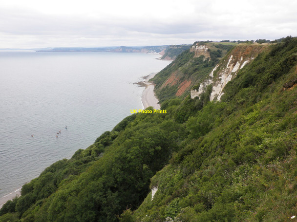 Photo 6"x4" Berry Cliff, near Branscombe Branscombe c2010