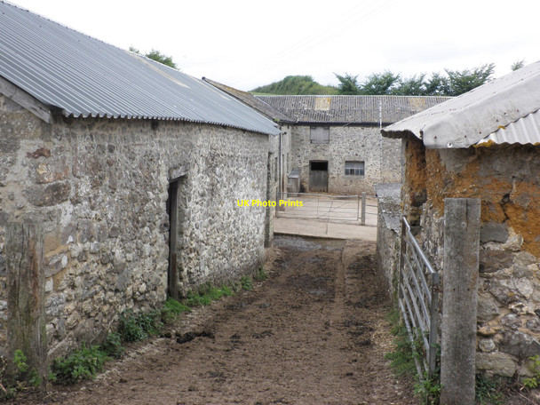 Photo 6"x4" Farmyard, Berry Barton Branscombe c2010