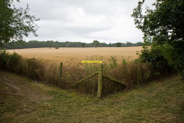 Photo 6"x4" Turning a Corner Botany Bay\/TQ2999 c2010