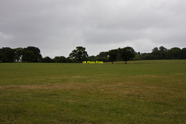 Photo 6"x4" Crows for Cows Botany Bay\/TQ2999 c2010