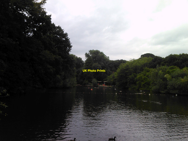 Photo 6"x4" Hampstead Pond Hampstead\/TQ2685 c2010
