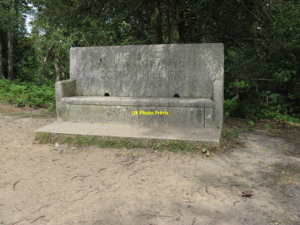 Photo 6"x4" Memorial seat to Octavia Hill Hambledon\/SU9638 c2010