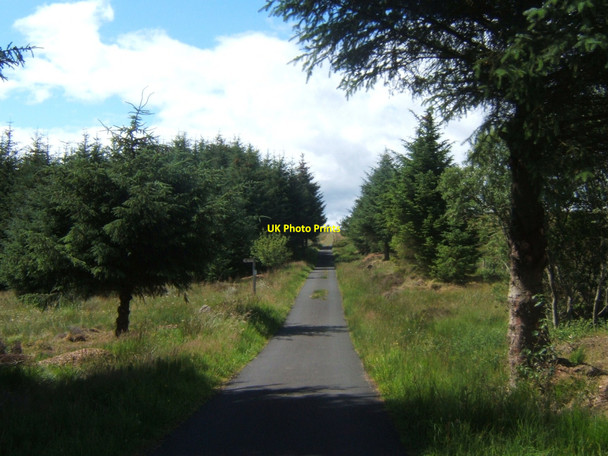 Photo 6"x4" Road to Watson's Walls Lanehead\/NY7985 c2010