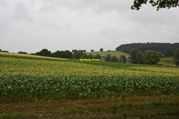 Photo 6"x4" Parkside Farm Botany Bay\/TQ2999 c2010