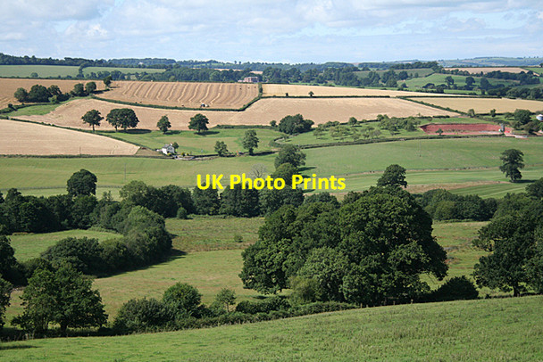 Photo 6"x4" Cullompton: towards Colebrooke Cottage Colebrook c2010