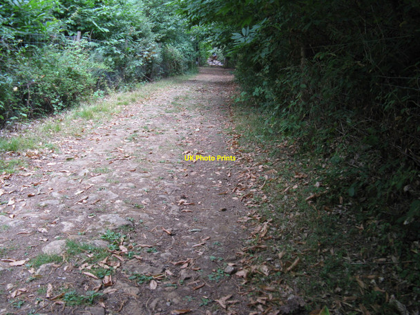 Photo 6"x4" Horse rider leaving Mare Lane to join bridleway Hascombe c2010