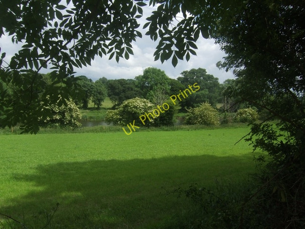 Photo 6"x4" Grazing land beside the River Suir Ballyneill c2009