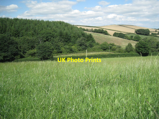 Photo 6"x4" Corner of a plantation above Beenleigh Brook Murtwell c2010