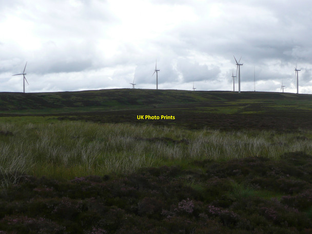 Photo 6"x4" Marshy moorland Netherton\/NO1452 c2010