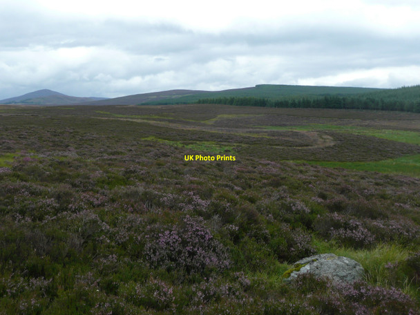 Photo 6"x4" Boulder in the heather Runnaguman c2010