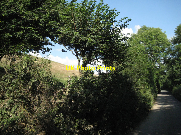 Photo 6"x4" Hillside by the lane to Harbertonford Harbertonford c2010