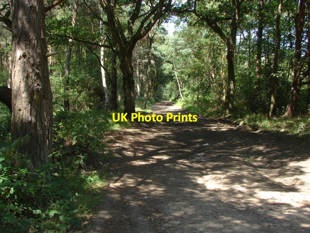 Photo 6"x4" The Old Guildford Road Pirbright Camp c2010