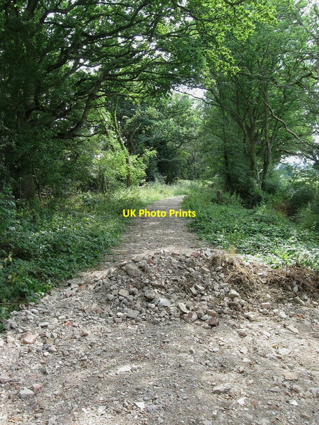 Photo 6"x4" Chalvington and Ripe Byway 33\/34 Chalvington c2010