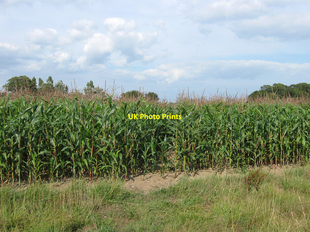 Photo 6"x4" Cobb Court Field Selmeston c2010