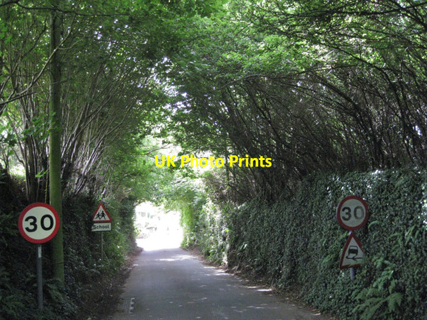 Photo 6"x4" Old Road nearing Harbertonford Harbertonford c2010