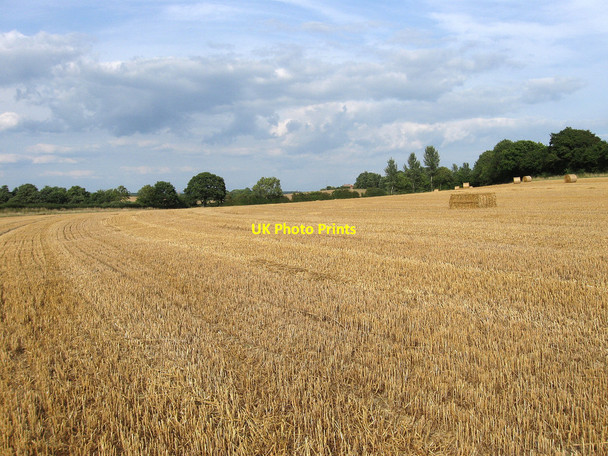 Photo 6"x4" Ballards Down Selmeston c2010