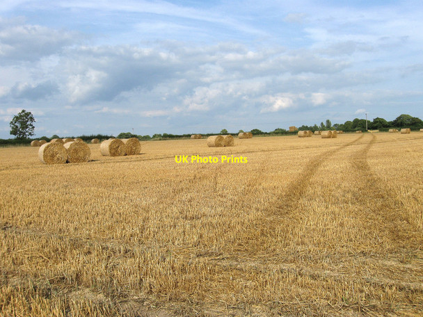 Photo 6"x4" Upper Ham Selmeston c2010